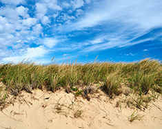 Marine Minerals Program in Your State