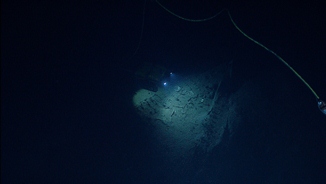 Expedition Discovers Amazing Historic Shipwreck