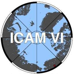 ICAM VI Logo