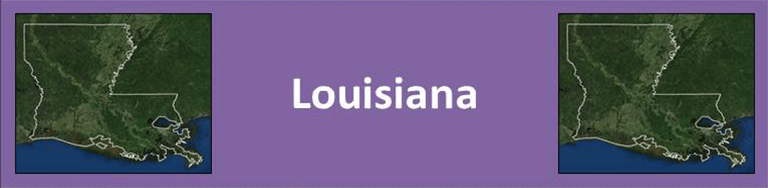 Louisiana Banner
