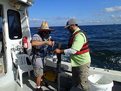 LSU and UNO taking Core Samples in GOM