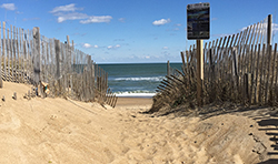 Path to Beach dare county NC