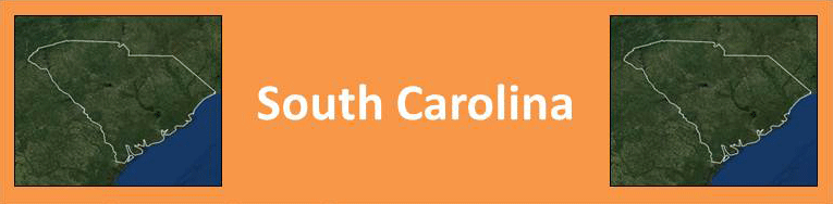 South Carolina Banner