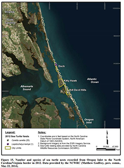 A picture from the Duck Environmental Assessment shows the number and species of sea  turtle nests recorded from Oregon Inlet to the North Carolina/Virginia border in 2012. Caretta  caretta (Loggerhead turtles) and the Lepidochelys kempii (Kemp’s ridley) are just two of the sea turtle species that inhabit this region. BOEM works with the USACE, the contractor and the local community to minimize and avoid impacts to sea turtles during  the dredging and beach construction activities.