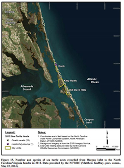 A picture from the Duck Environmental Assessment shows the number and species of sea turtle nests recorded from Oregon Inlet to the North Carolina/Virginia border in 2012. Caretta caretta (Loggerhead turtles) and the Lepidochelys kempii (Kemp’s ridley) are just two of the sea turtle species that inhabit this region. BOEM works with the USACE, the contractor and the local community to minimize and avoid impacts to sea turtles during the dredging and beach construction activities. A picture from the Duck Environmental Assessment shows the number and species of sea turtle nests recorded from Oregon Inlet to the North Carolina/Virginia border in 2012. Caretta caretta (Loggerhead turtles) and the Lepidochelys kempii (Kemp’s ridley) are just two of the sea turtle species that inhabit this region. BOEM works with the USACE, the contractor and the local community to minimize and avoid impacts to sea turtles during the dredging and beach construction activities.