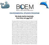 Word-Game-Marine-Mammals